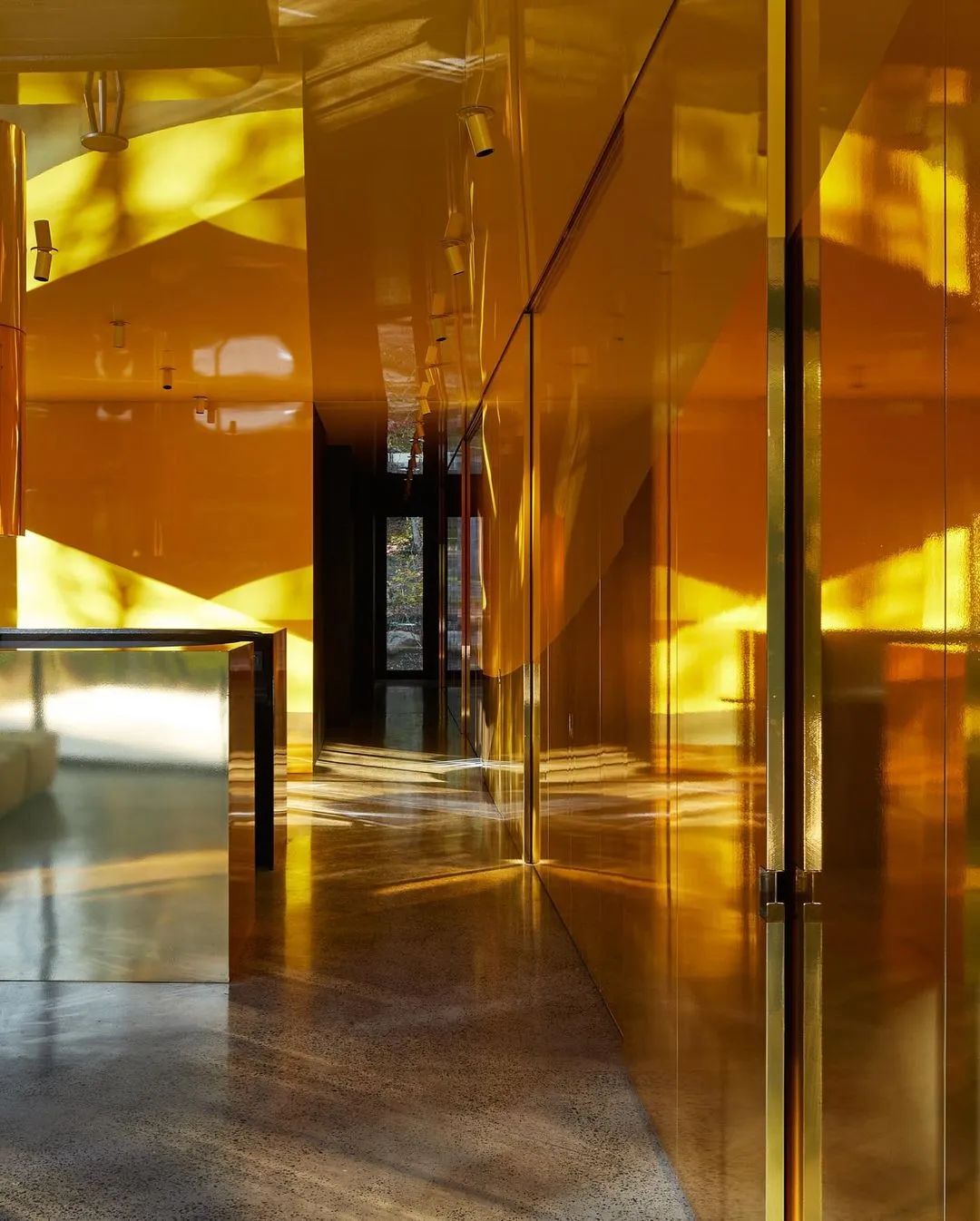 他们把家搬到了森林里，一间森林