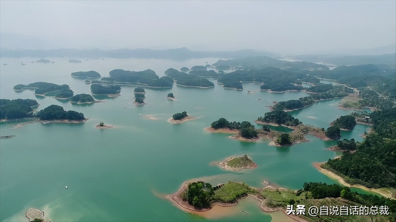 从2亿年不进化的王者，到比黄金还贵的食物，背后隐藏着商业秘密