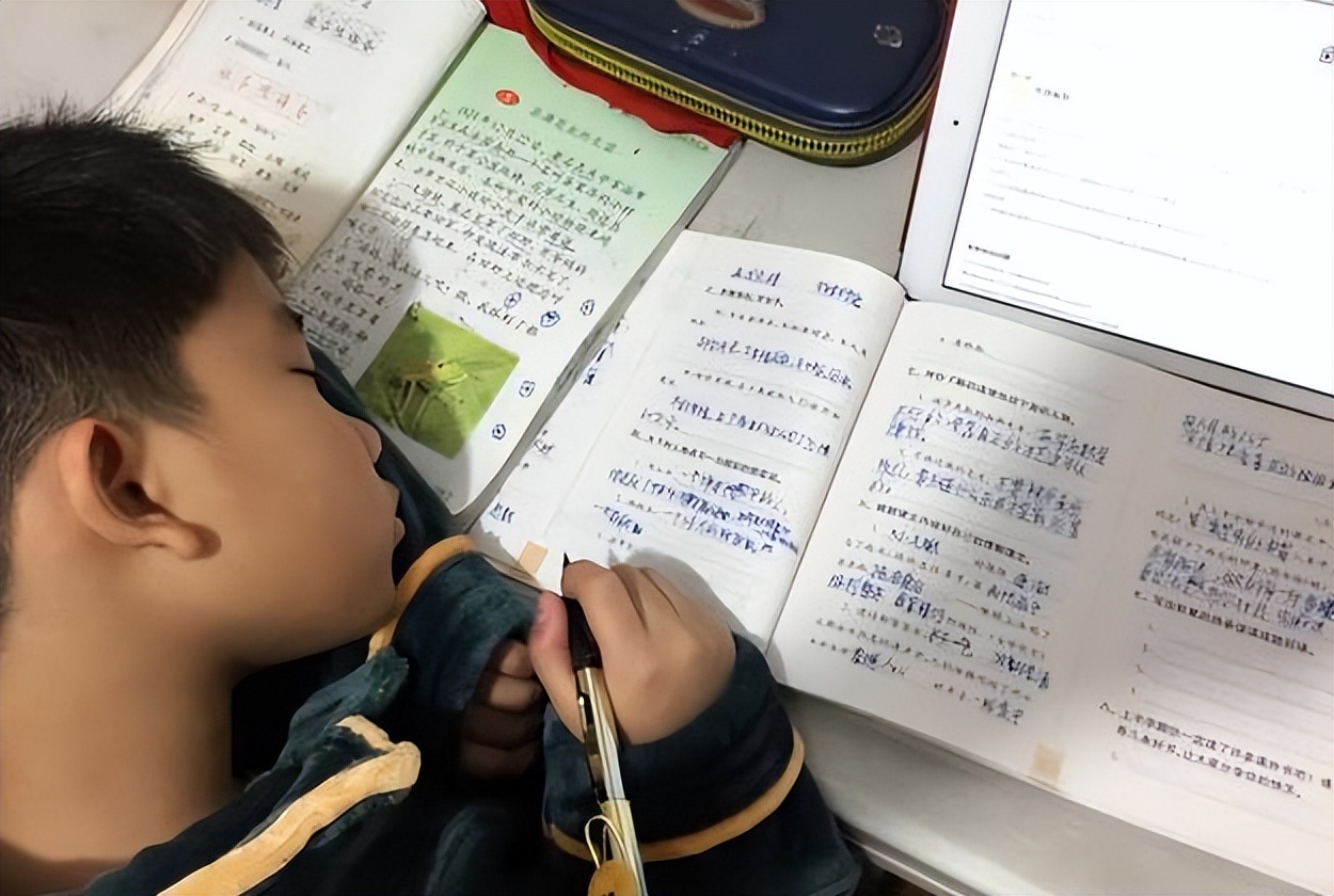 学生《我的小姨》作文，意外泄露小姨太美的秘密，小姨笑不活了