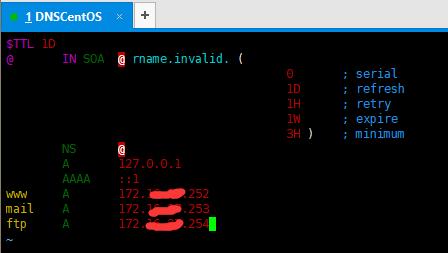 linux环境用什么编译器,linux配置dns地址