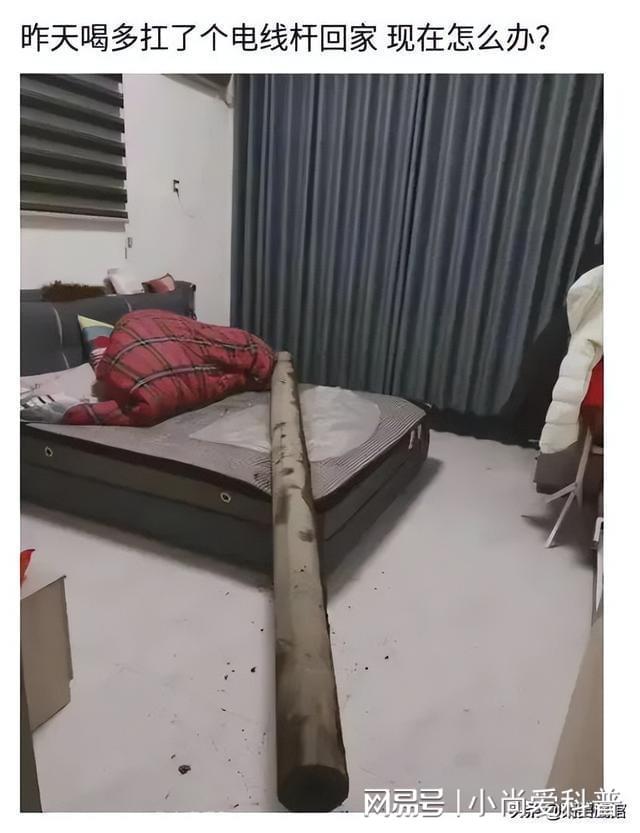 昨晚上喝多了把这个扛回了家，现在酒醒了，我该怎么办？