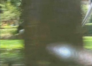 一个比一个廉价，辱智的五毛特效，但凡上点心都做不出这种东西