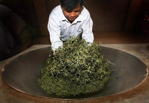 广州芳村的普洱茶都卖到哪里去了,芳村普洱茶市场