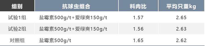 如何防治球虫不再复发,防治球虫药