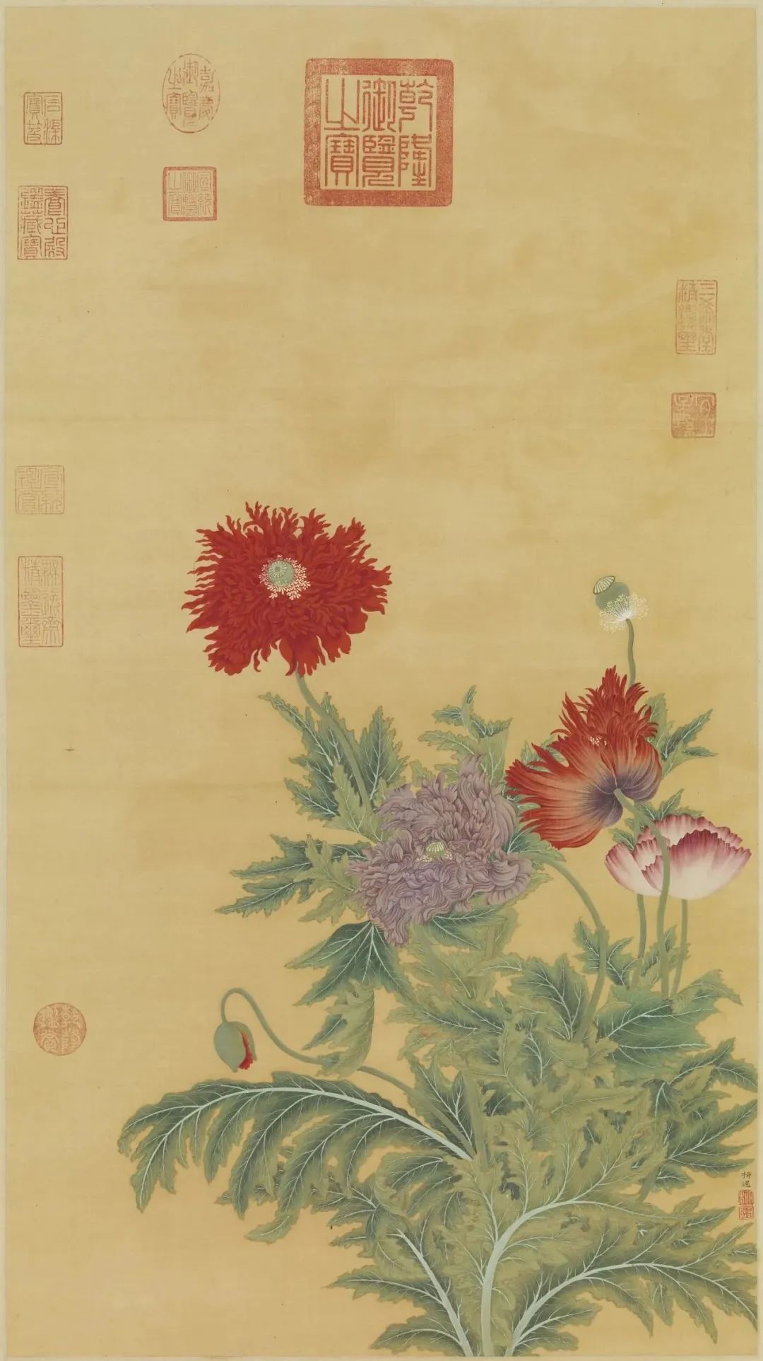 慕容看世界的视频,慕容看世界所有视频