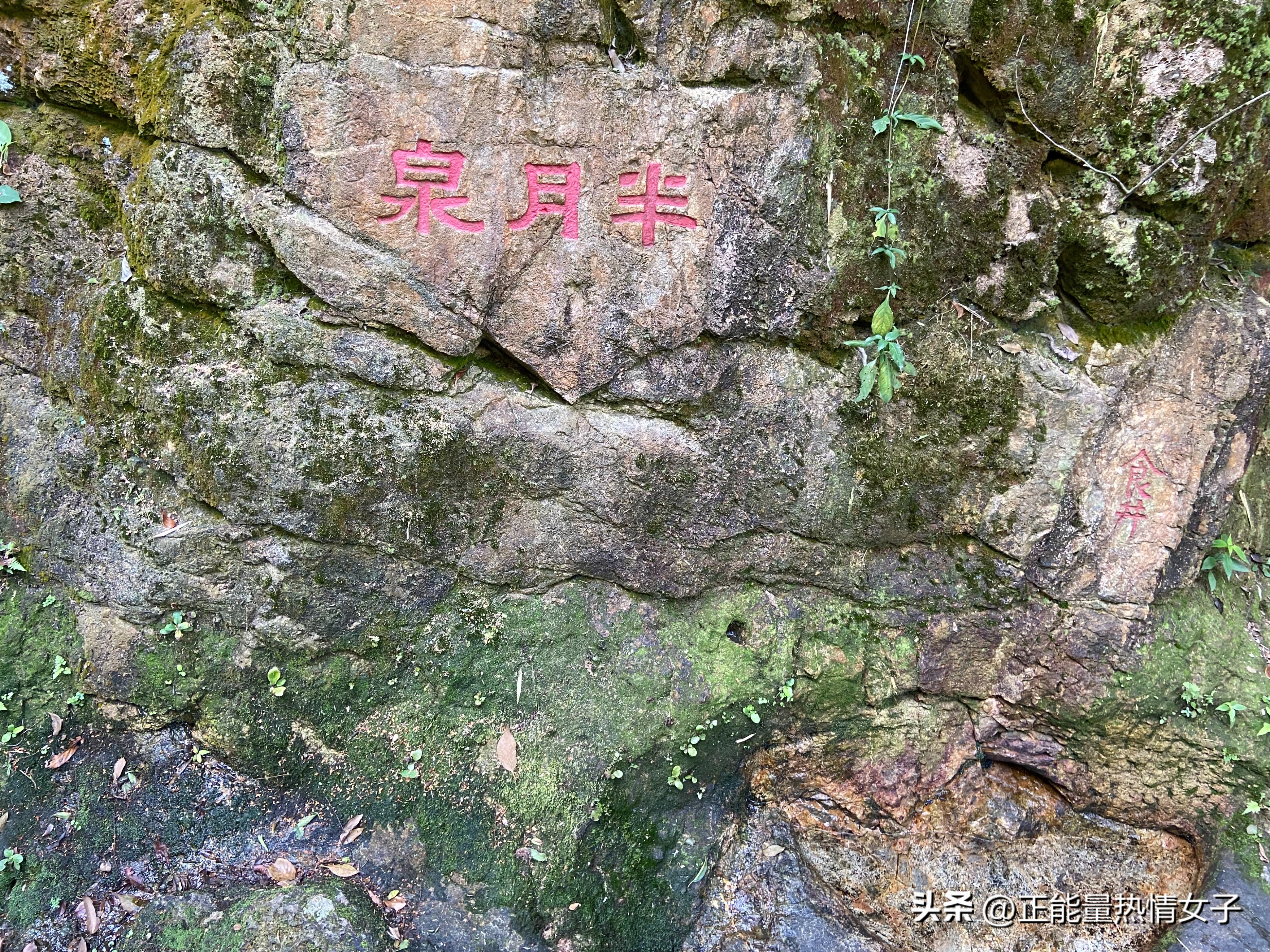 黄飞鸿故居一日游心得,黄飞鸿故里游玩攻略