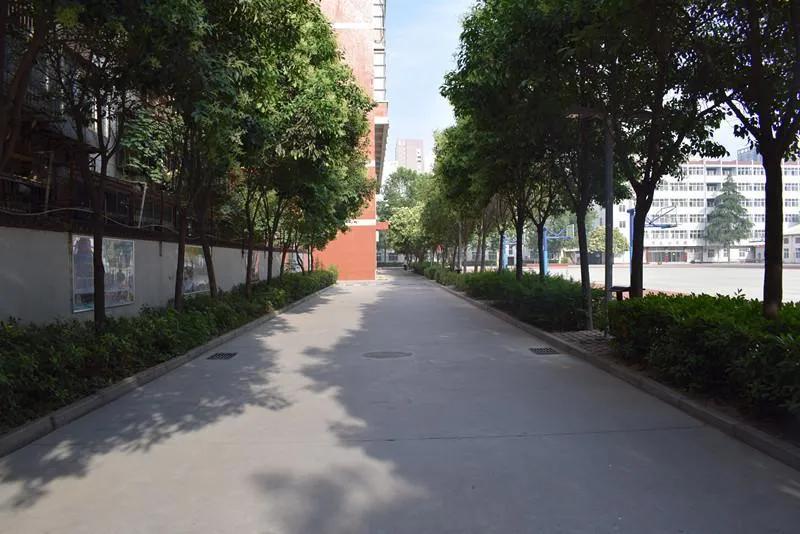 郑州树人外国语学校改公办了么,郑州树人转公后怎么样