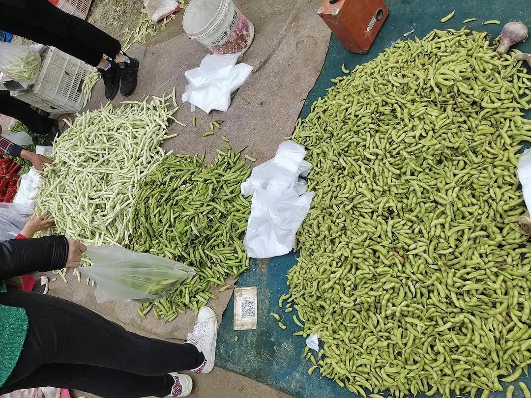 烟台水果物价,烟台地区最新的水果价格