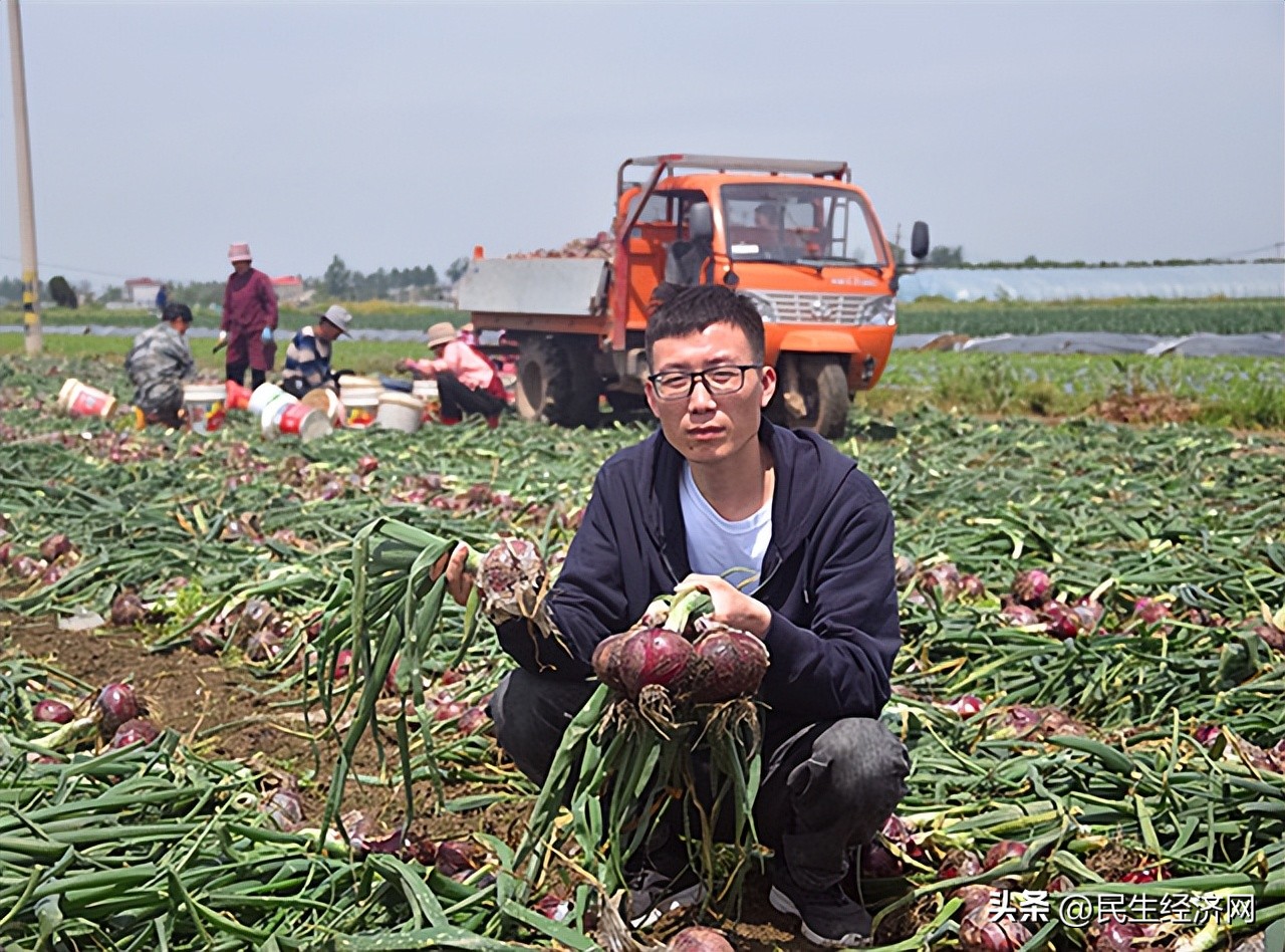 带动农民脱贫致富实现乡村振兴,党旗引领乡村振兴带动农民工就业