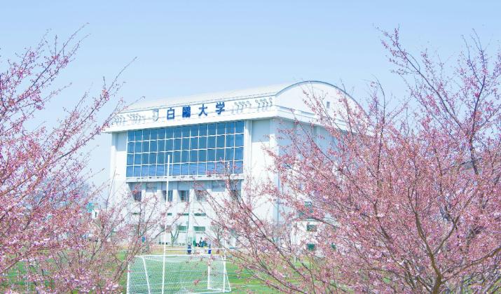 女篮王岑静现状如何,日本女篮王岑静年薪