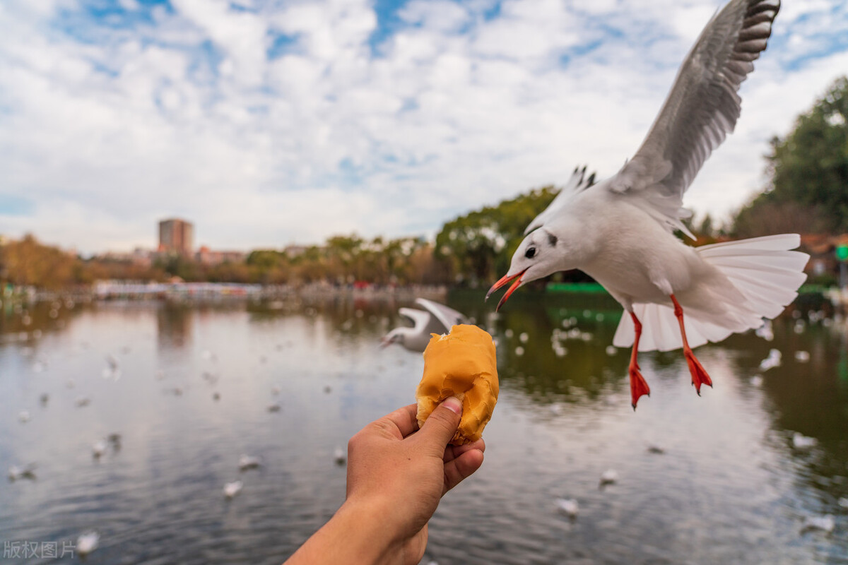 春节去云南哪里最好玩,云南春节人少旅游推荐