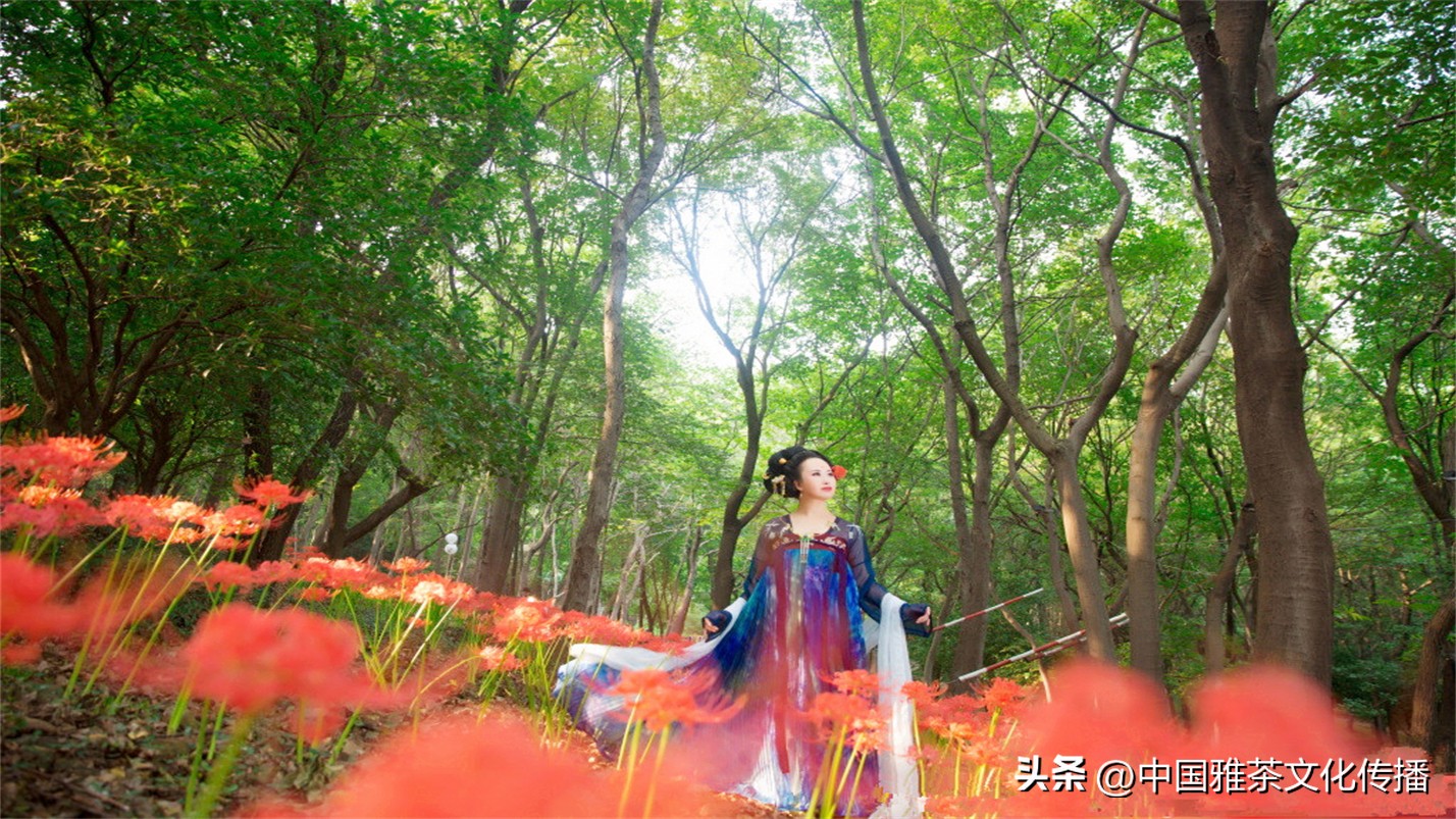 几缕茶香,一壶清茶几缕阳光几分优雅