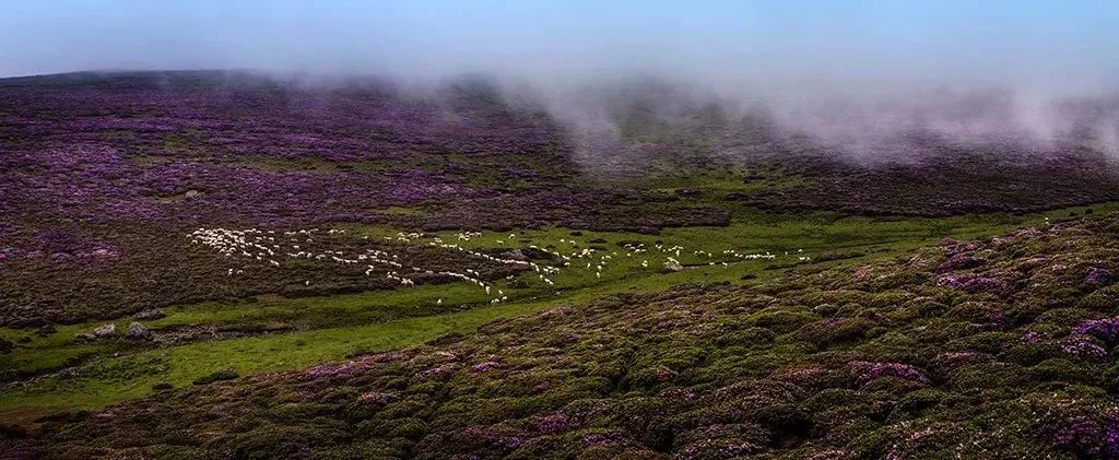 昭觉美姑,美姑路况