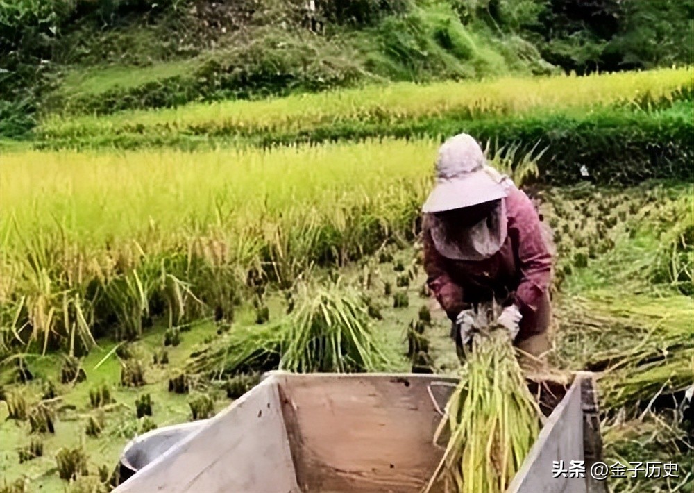 石奶引：16岁时因长得太美出现在1元纸币上，如今怎样了？