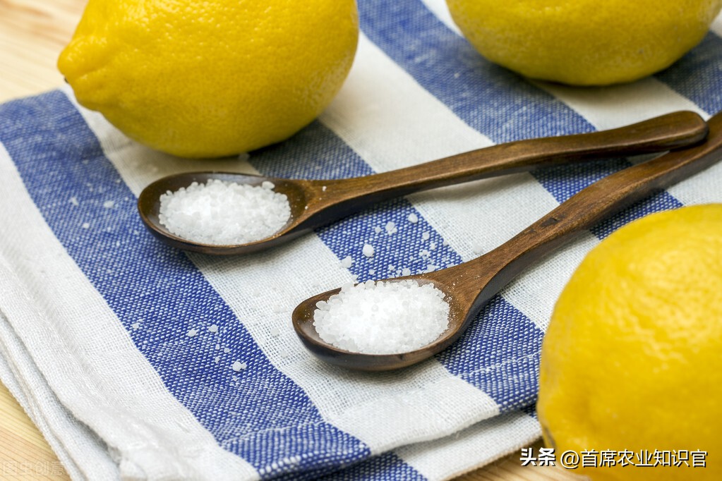 最新型的植物生长调节剂,植物生长调节剂行情