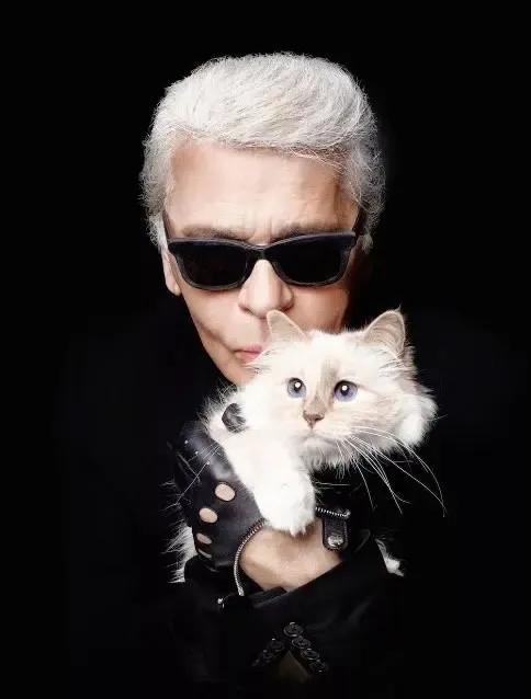 世界上最有钱的猫，坐拥21亿的财富