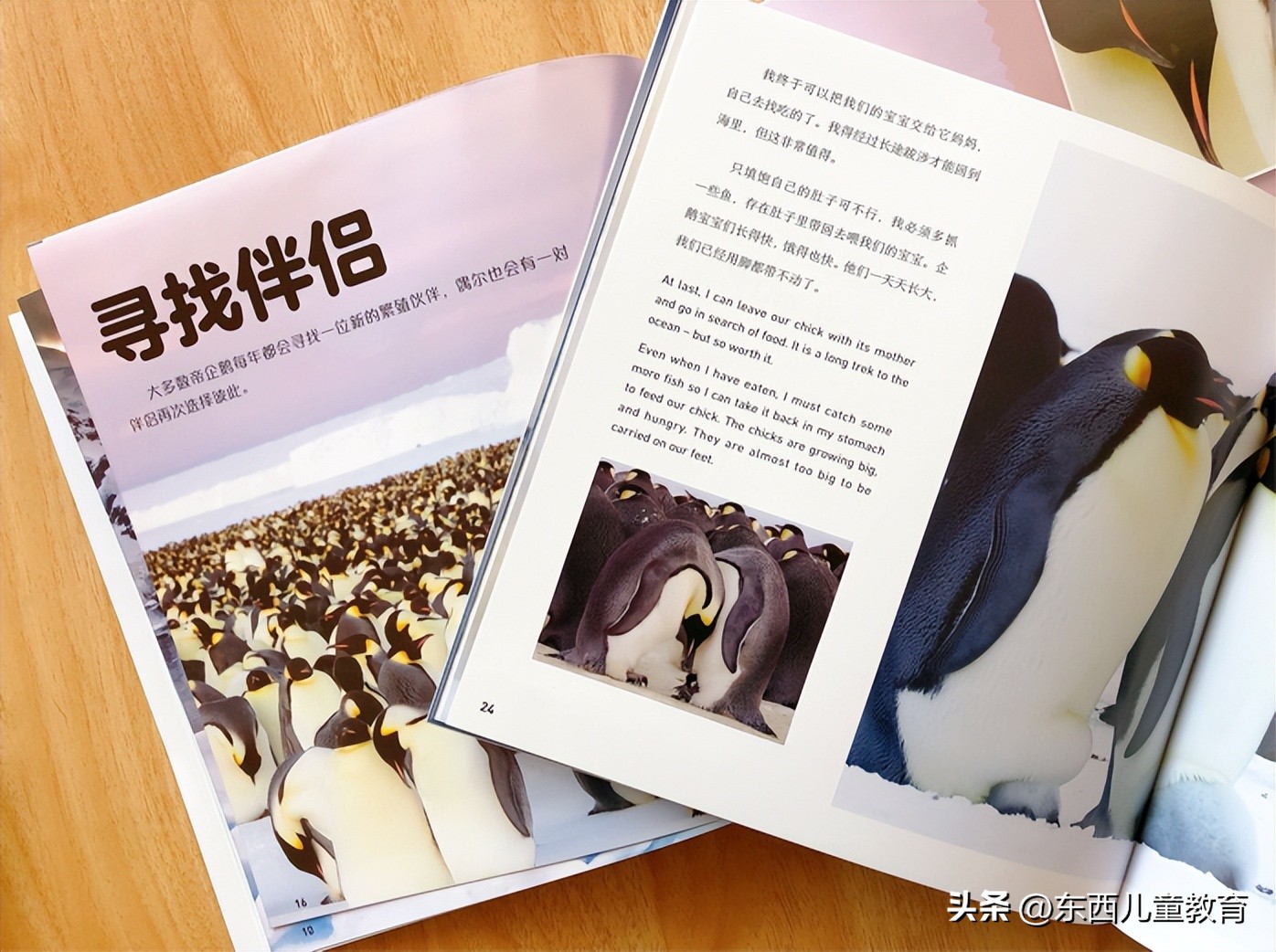 法布尔昆虫记立体书适合3-6岁儿童,法布尔昆虫记青少版必读