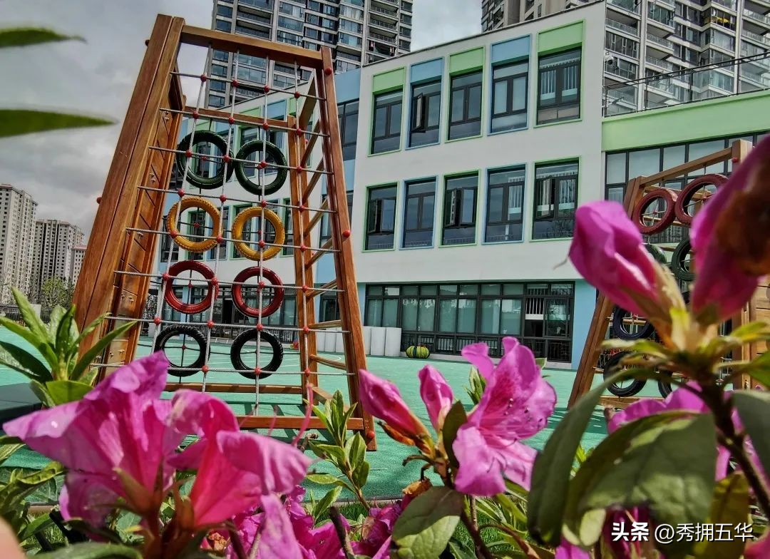 把春天装进校园里作文,把春天装进眼里