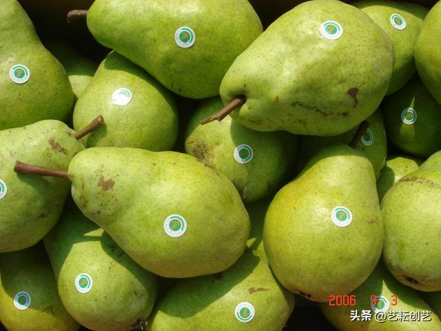 全国农产品地理标志查询,全国地理标志农产品