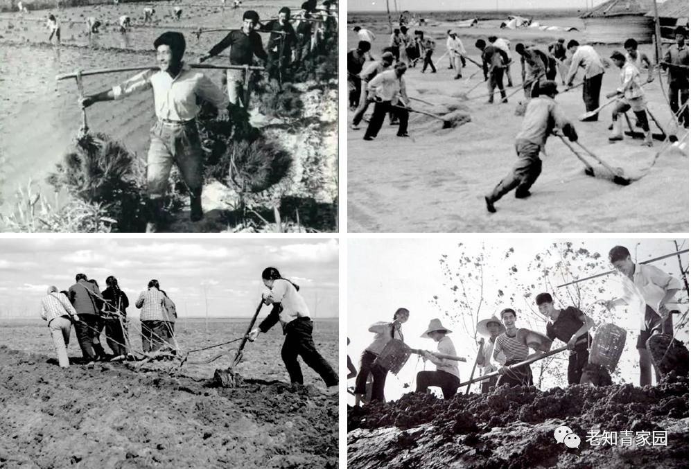 60年代中国人的生活视频,60年代生活记录完整版