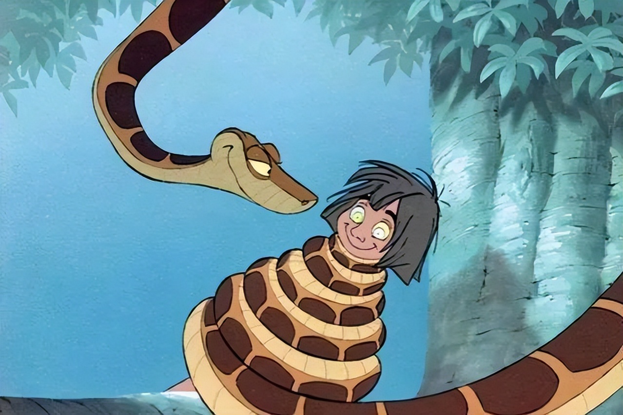 至今最长的蛇类,广西发现最大的蛇的纪录