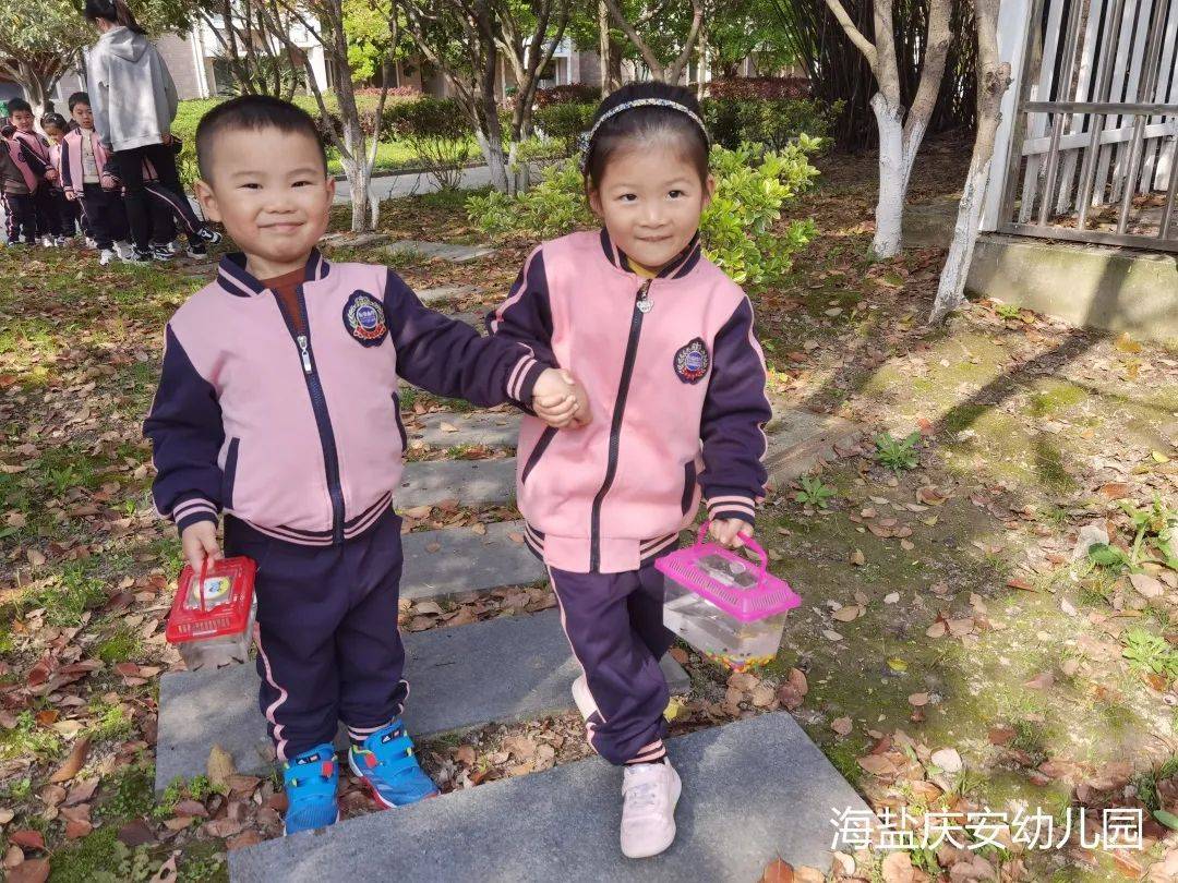 邂逅蝌蚪，感受生命的演变—诺亚舟海盐庆安幼儿园小一班