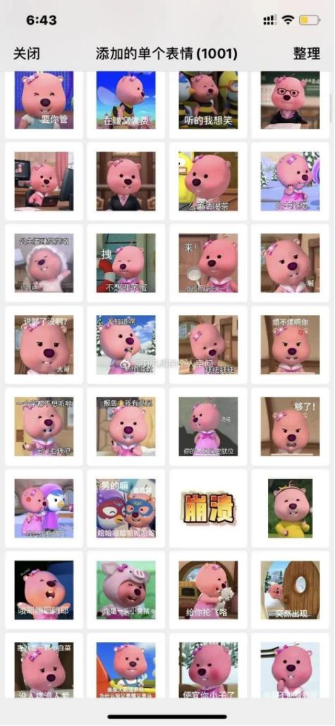 女明星loopy怎么火的,loopy女明星名场面