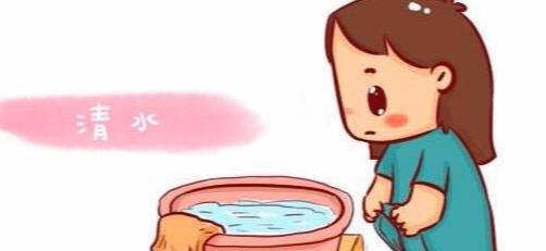 古猿进化成人类的标志,人类的屁股为什么那么大