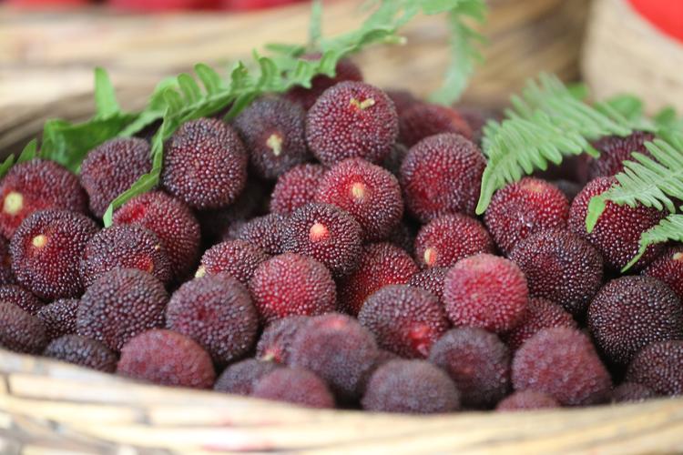 夏天吃哪些既清凉又健康水果,夏天到了这4种水果可多吃消暑