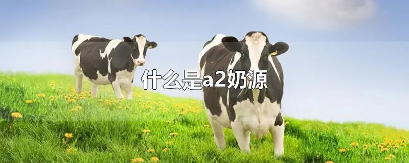 a2奶源好还是有机奶源好,a2奶源和a1奶源有什么区别