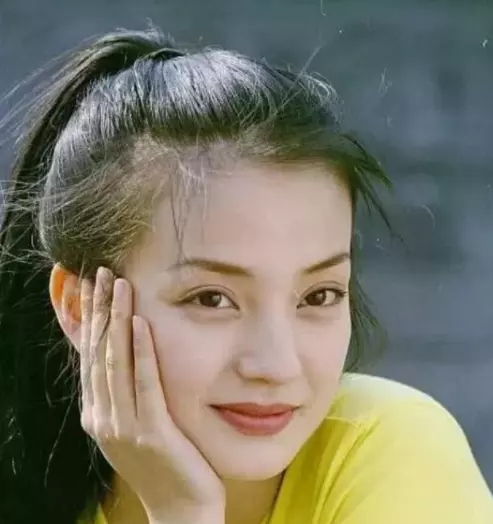 赵薇叛国罪,赵薇涉黑涉恶