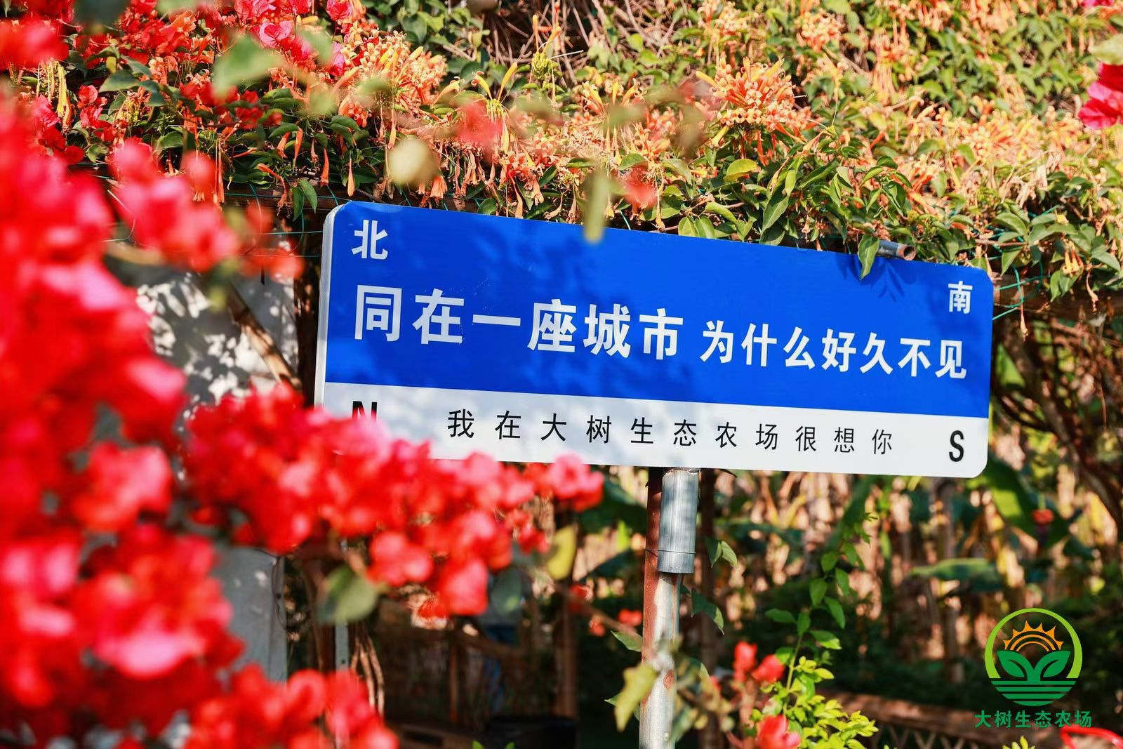 公司团建策划方案深圳,高端团建策划方案