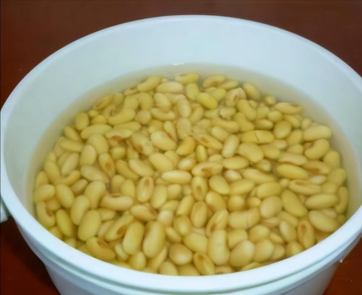 做豆浆不用黄豆和水的方法,豆浆怎么做才香浓简单营养又健康