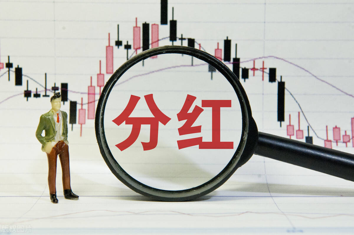 股东分红的会计分录,企业股东分红一年可以分几次