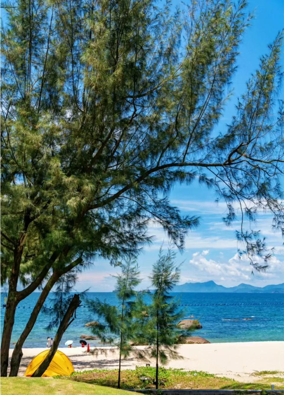 深圳这片隐藏的小众海岸，绝美婚纱拍摄地，你想要的浪漫它都有