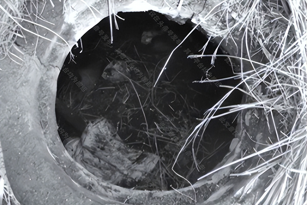 黑龙江妇女杀害两兄弟,黑龙江菜窖藏尸案视频