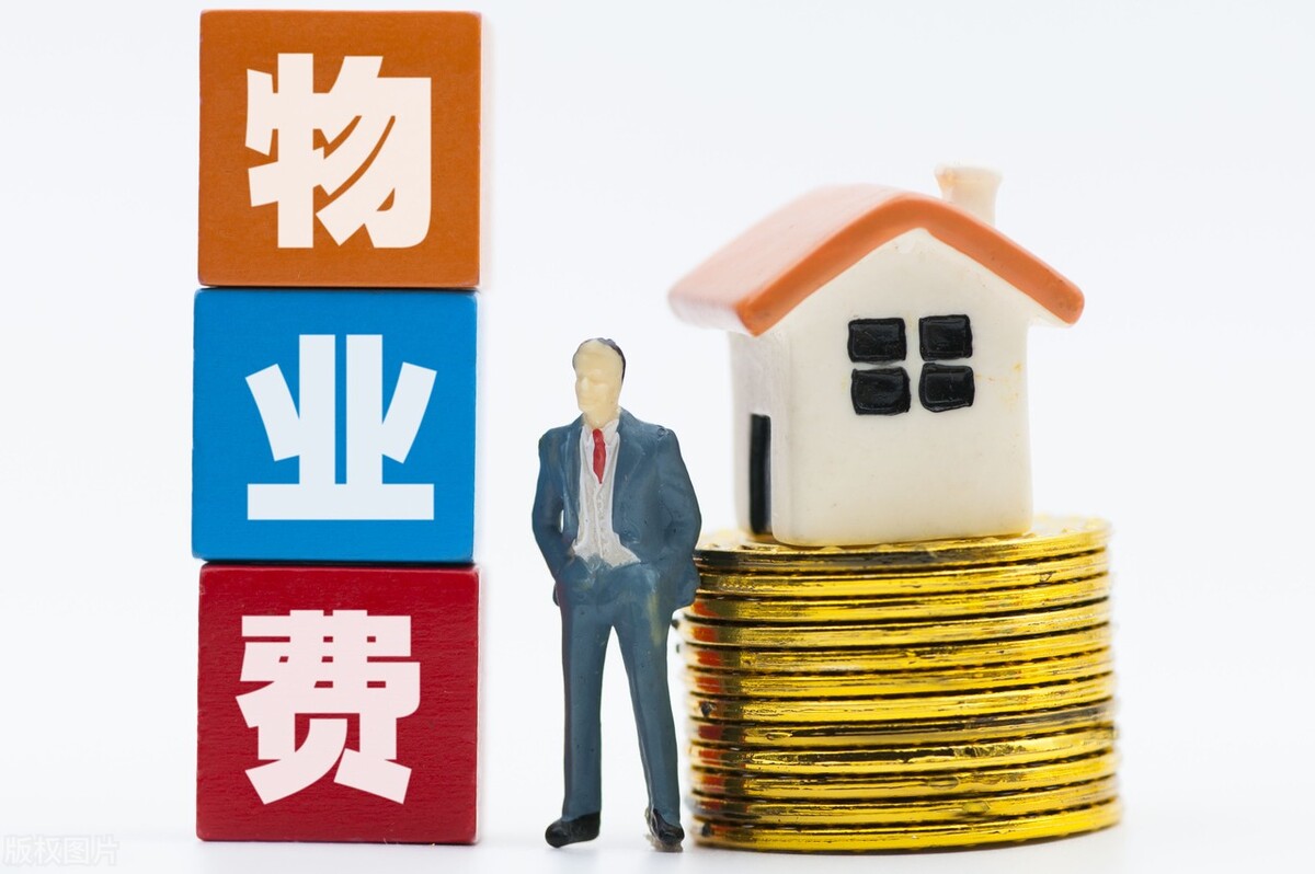 竣工验收备案后再交物业费,开发商在没有竣工备案下收物业费