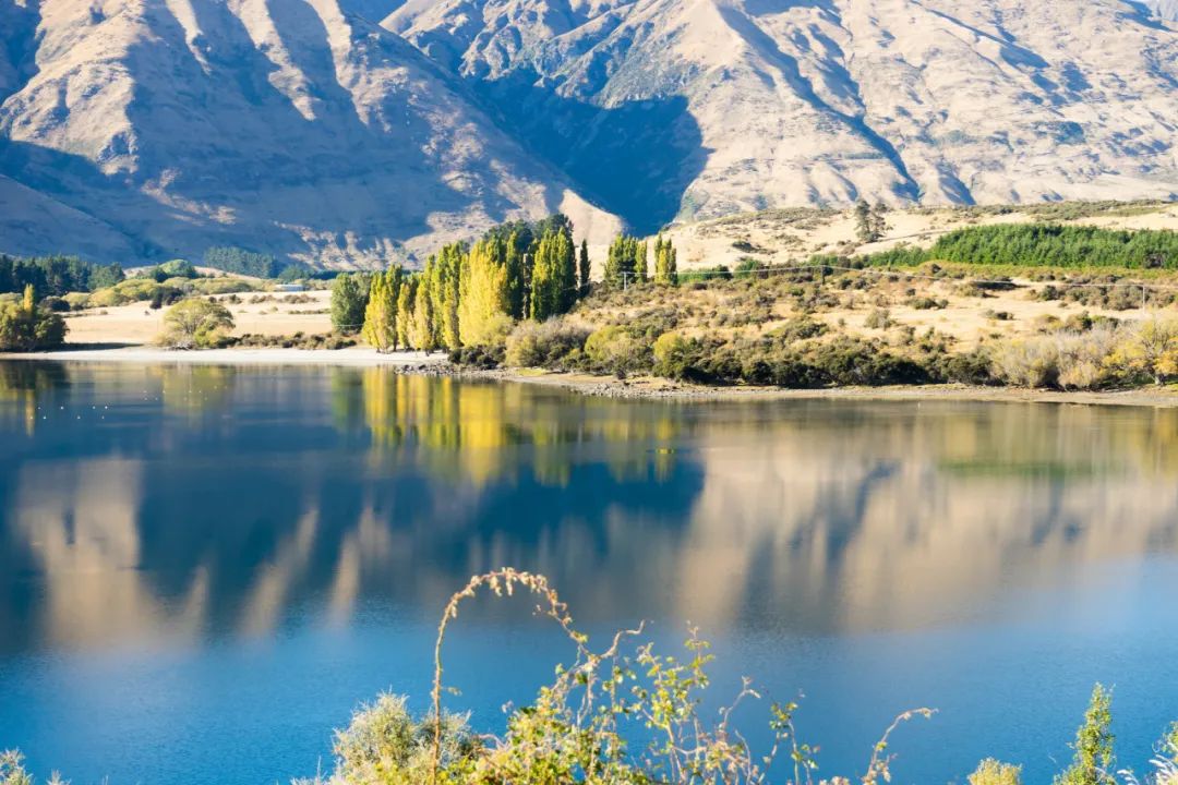 这个姿势躺3分钟瘦肚子,什么动作使全身气血运行快速