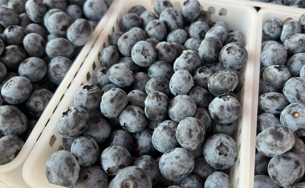 入夏后，遇到这5种碱性水果别手软，正当季，营养极高，别不懂吃