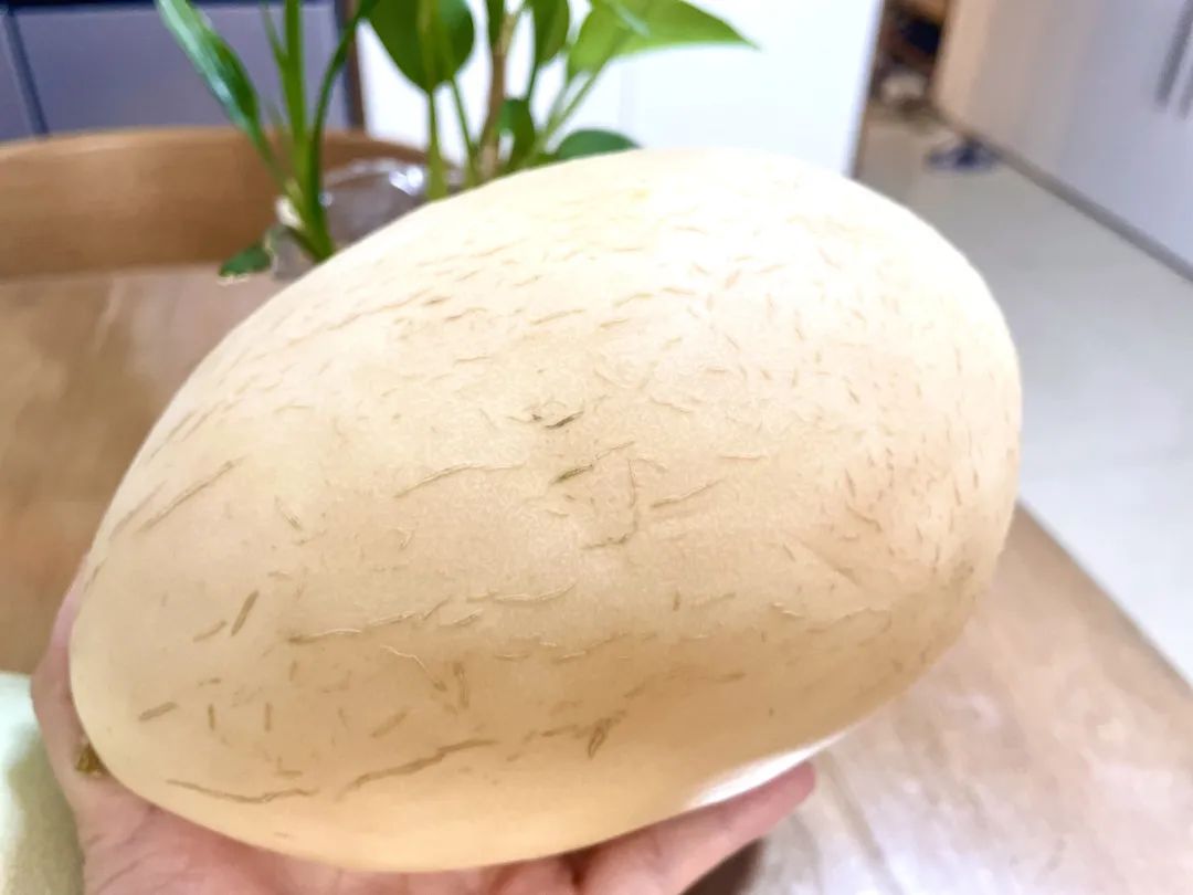 武汉美女：夏天要吃这些好瓜，藤蔓上的水果冰淇淋