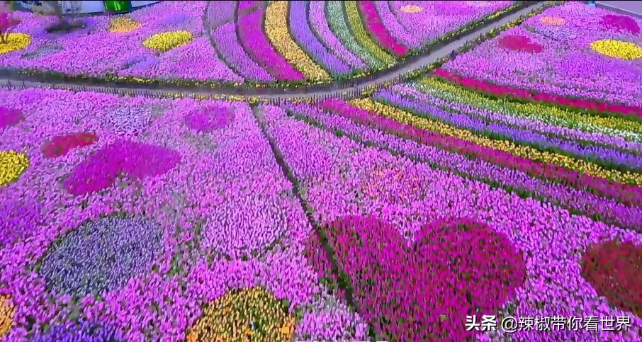 盐城最大的海边城市,盐城海岸线为何一直延伸