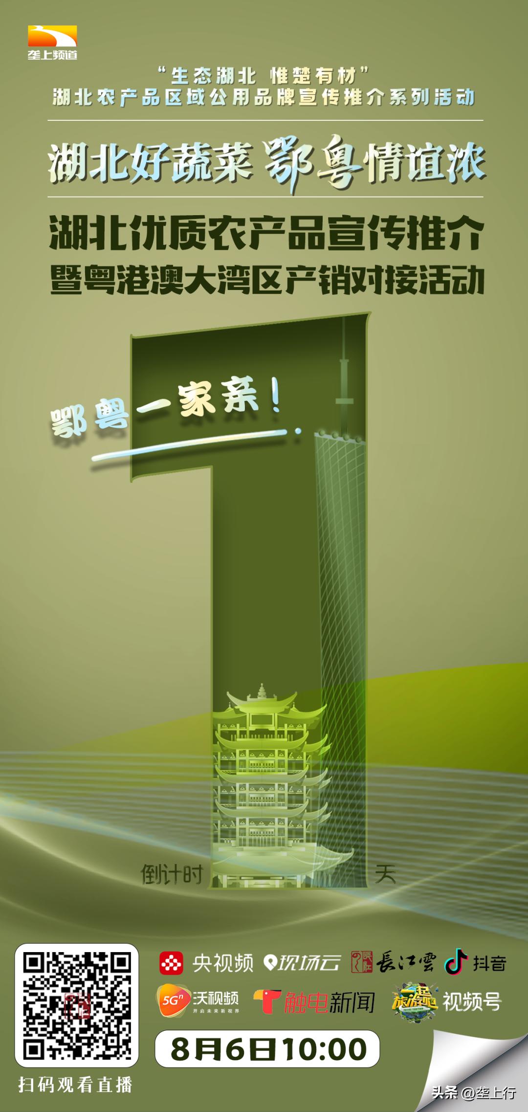 湖北香菇何以飘香天下？明天上午10点为你揭秘