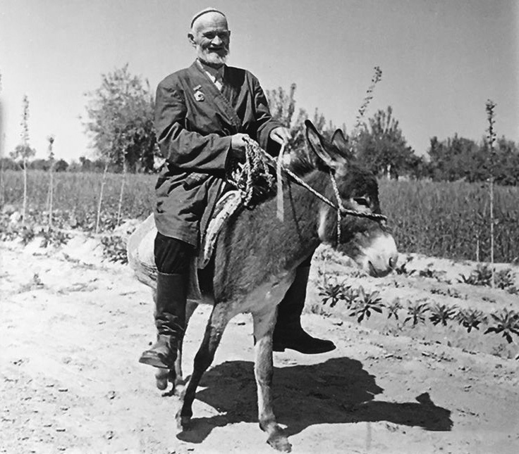 库尔班大叔骑着毛驴去北京，当面感谢毛主席，背后的故事太感人