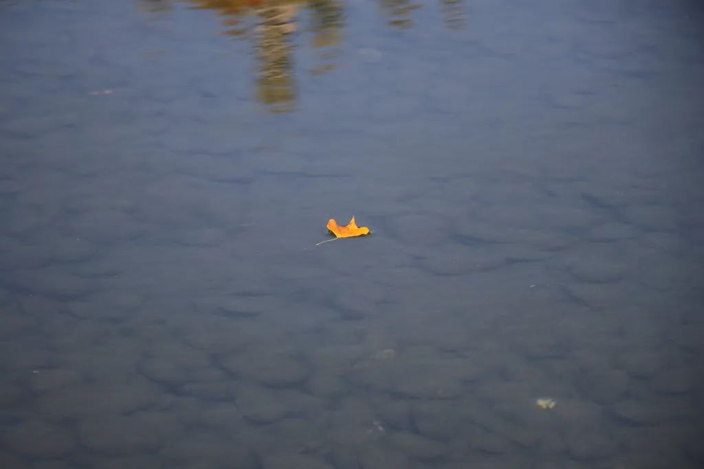 最近的泰兴,泰兴现在的样子