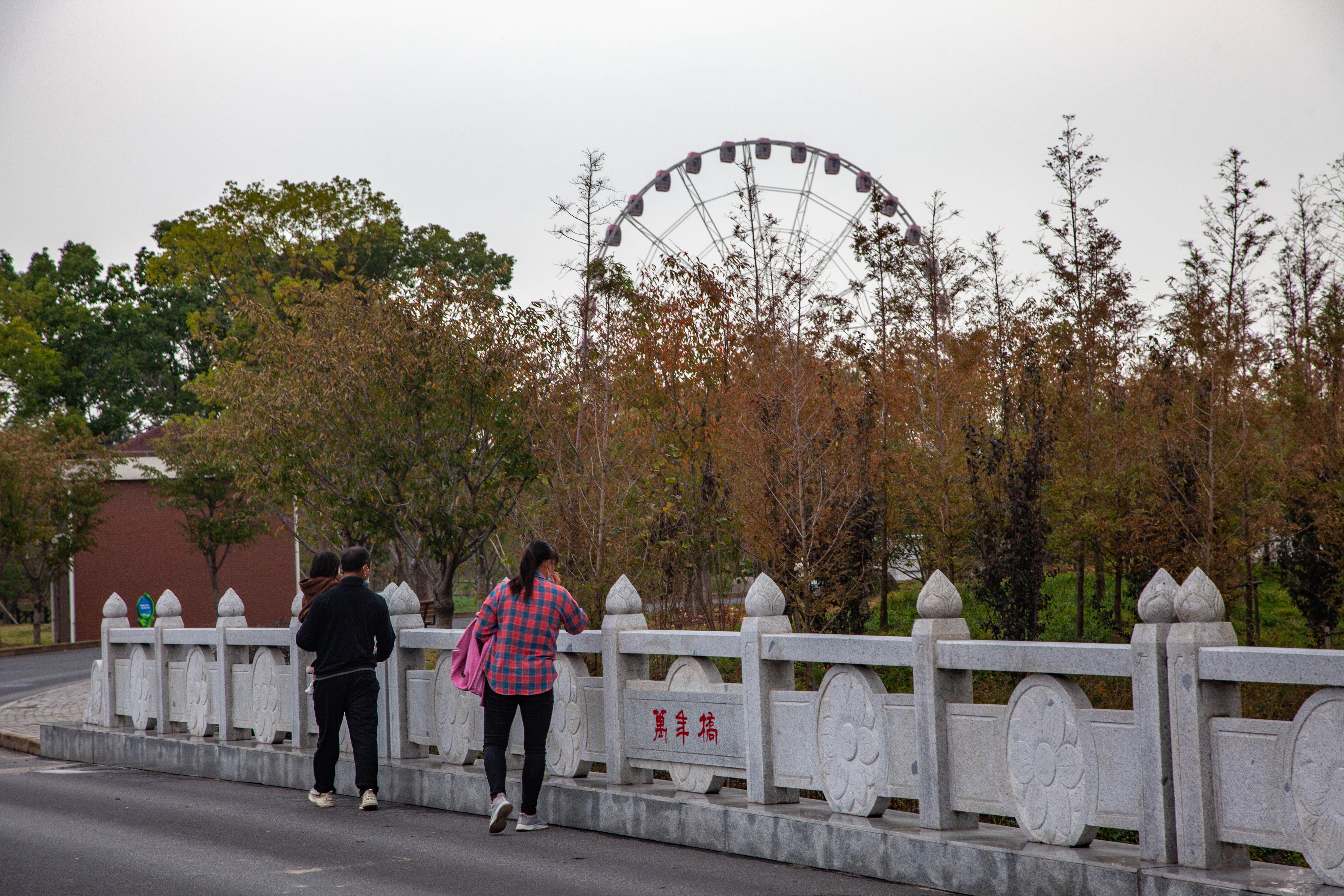 宝山顾村历史,上海宝山顾村老街