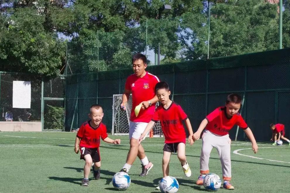 师范类最好就业的专业,师范类什么专业就业前景好