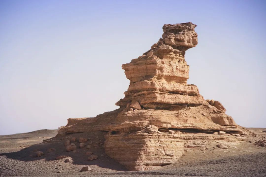 100条历史典故读懂半个中国建议收藏,100条历史典故读懂半个中国