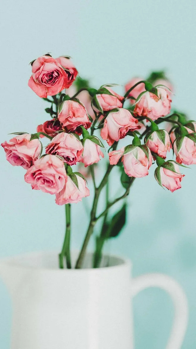 如何忘掉童年的不幸,如何弥补童年的不幸