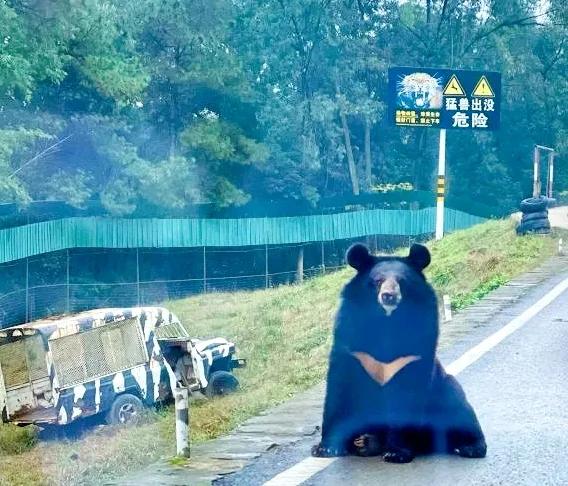 乐活乐都动物园游玩攻略,重庆动物园旅游攻略三日游
