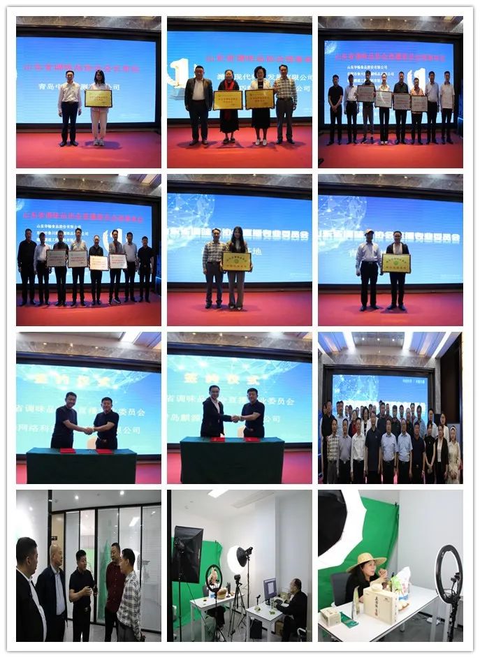 山东调味品协会标志,山东省调味品协会